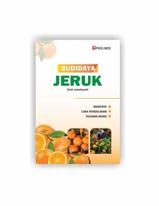 Budidaya Buah Jeruk