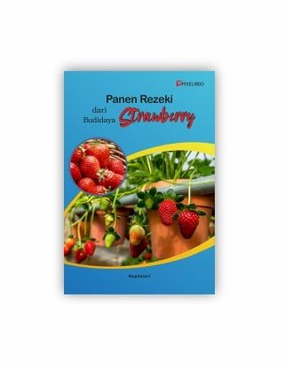 Panen Rezeki dari Budidaya Strawberry 