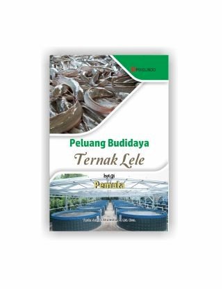 Peluang Budidaya Ternak Lele bagi Pemula
