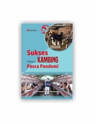 Sukses Beternak Kambing Pasca Pandemi